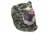 Corundum (Sapphire) Crystal in Mica Schist Matrix - Madagacar #130487-2